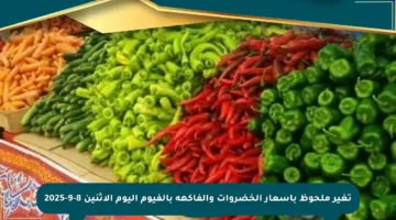 تغير ملحوظ بأسعار الخضروات والفاكهة بالفيوم اليوم الإثنين 8-9-2025